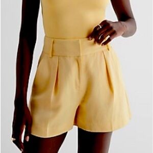 NWT Express Linen Shorts